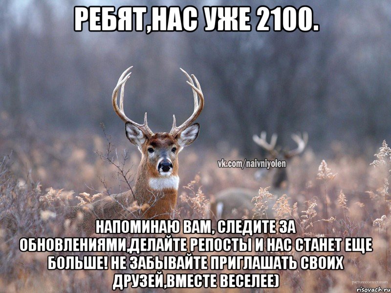 Ребят,нас уже 2100. Напоминаю Вам, следите за обновлениями,делайте репосты и нас станет еще больше! Не забывайте приглашать своих друзей,вместе веселее), Мем   Наивный олень