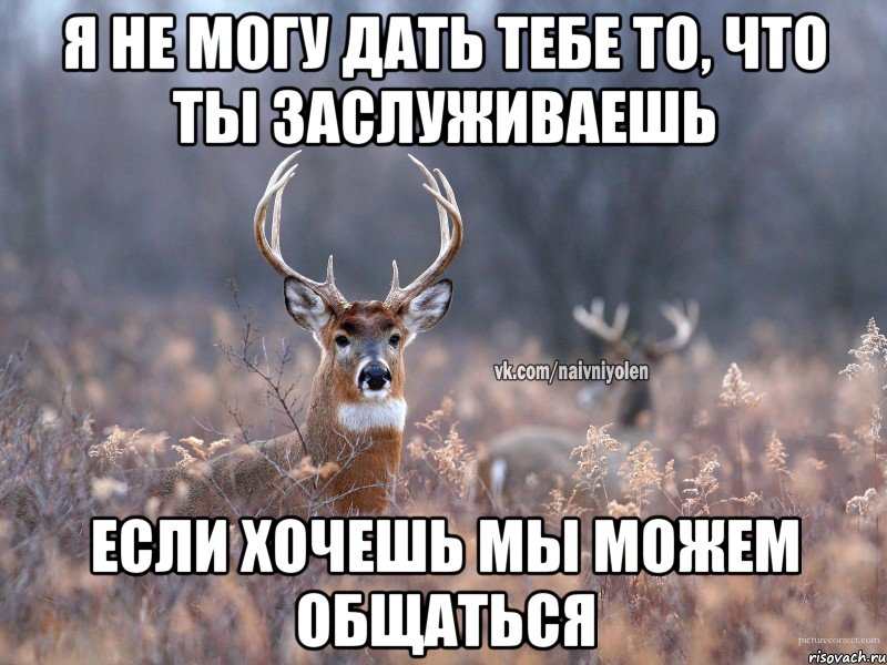 я не могу дать тебе то, что ты заслуживаешь если хочешь мы можем общаться, Мем   Наивный олень