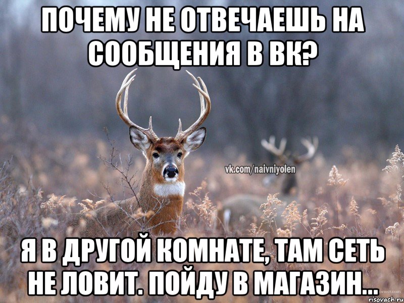 Почему не отвечаешь на сообщения в вк? Я в другой комнате, там сеть не ловит. Пойду в магазин..., Мем   Наивный олень