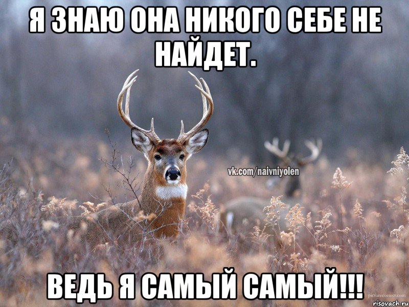 Я знаю она никого себе не найдет. Ведь я самый самый!!!, Мем   Наивный олень