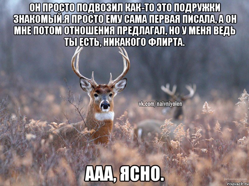 Он просто подвозил как-то это подружки знакомый.Я просто ему сама первая писала, а он мне потом отношения предлагал, но у меня ведь ты есть, никакого флирта. Ааа, ясно., Мем   Наивный олень