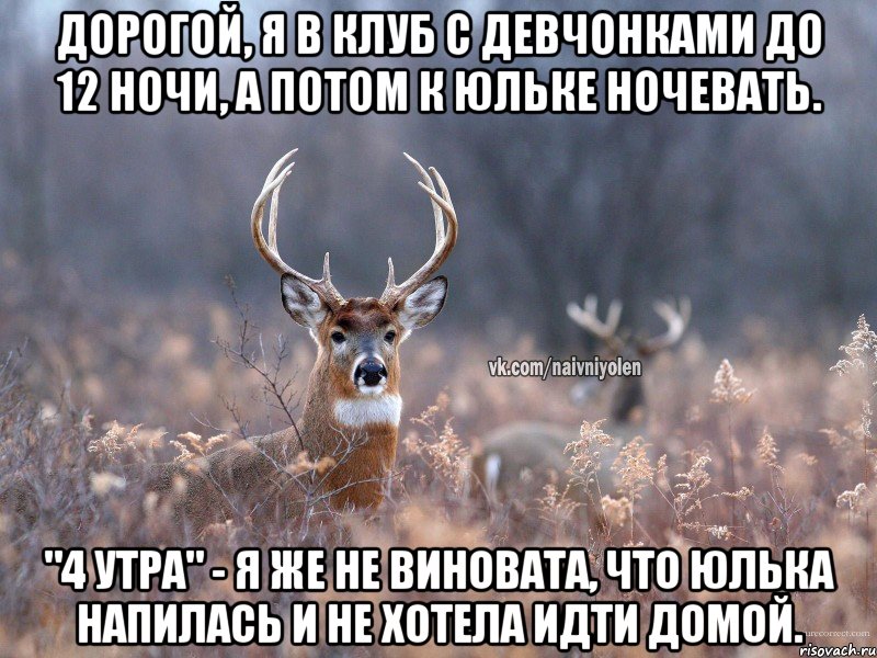 Дорогой, я в клуб с девчонками до 12 ночи, а потом к Юльке ночевать. "4 утра" - Я же не виновата, что Юлька напилась и не хотела идти домой., Мем   Наивный олень