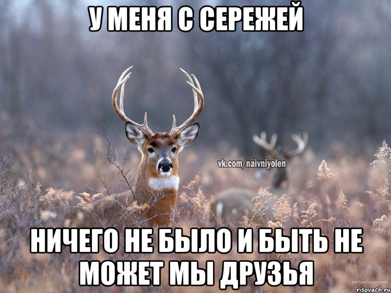 У меня с сережей Ничего не было и быть не может мы друзья, Мем   Наивный олень