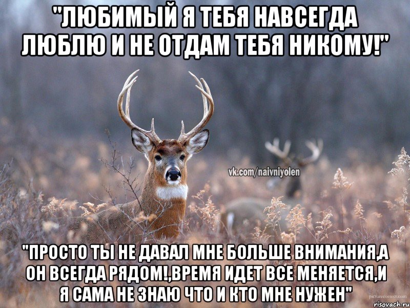 "Любимый я тебя навсегда люблю и не отдам тебя никому!" "Просто ты не давал мне больше внимания,а он всегда рядом!,время идет все меняется,и я сама не знаю что и кто мне нужен", Мем   Наивный олень