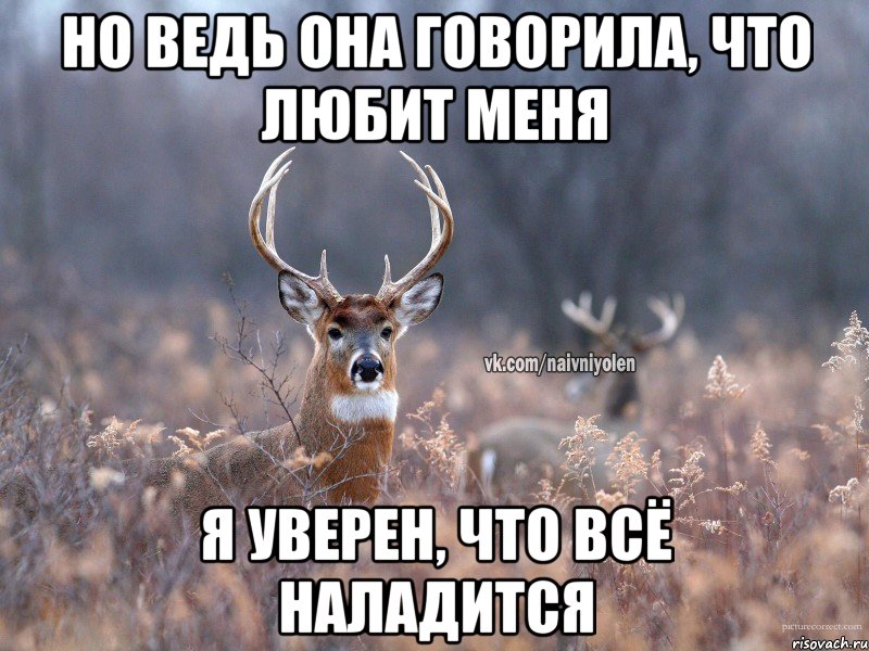 Но ведь она говорила, что любит меня Я уверен, что всё наладится, Мем   Наивный олень