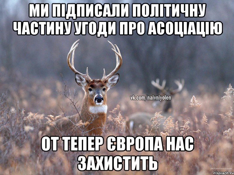 Ми підписали політичну частину угоди про асоціацію От тепер Європа нас захистить, Мем   Наивный олень