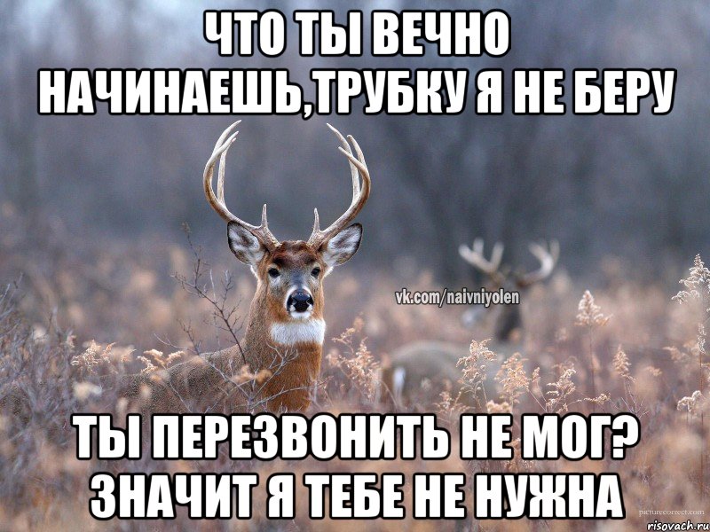 что ты вечно начинаешь,трубку я не беру ты перезвонить не мог? значит я тебе не нужна, Мем   Наивный олень