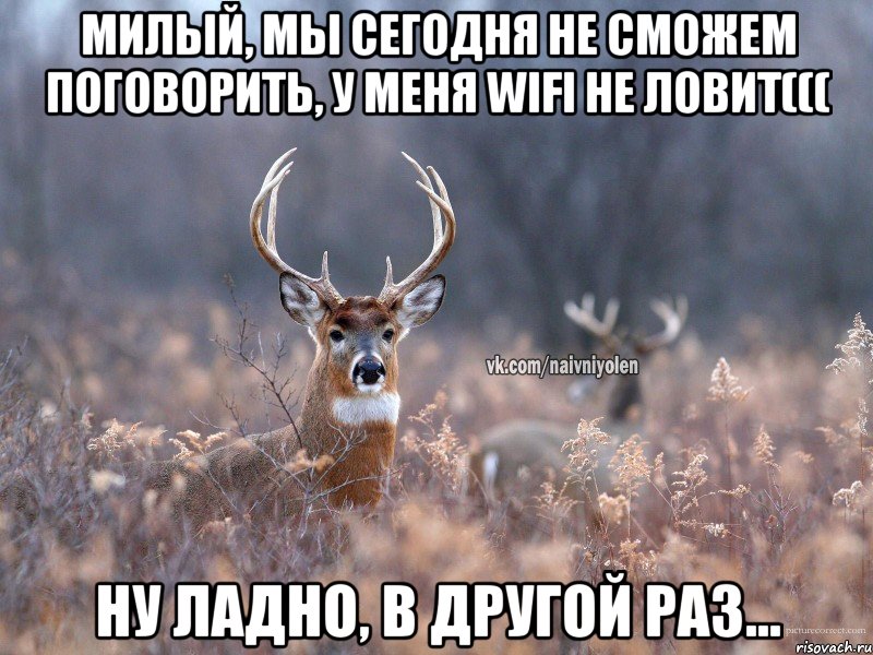 Милый, мы сегодня не сможем поговорить, у меня wifi не ловит((( ну ладно, в другой раз..., Мем   Наивный олень