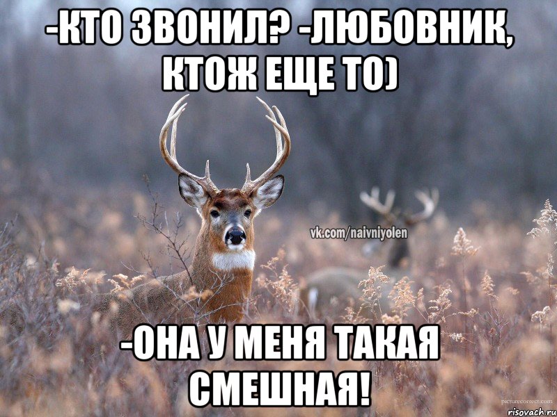 -кто звонил? -любовник, ктож еще то) -она у меня такая смешная!, Мем   Наивный олень