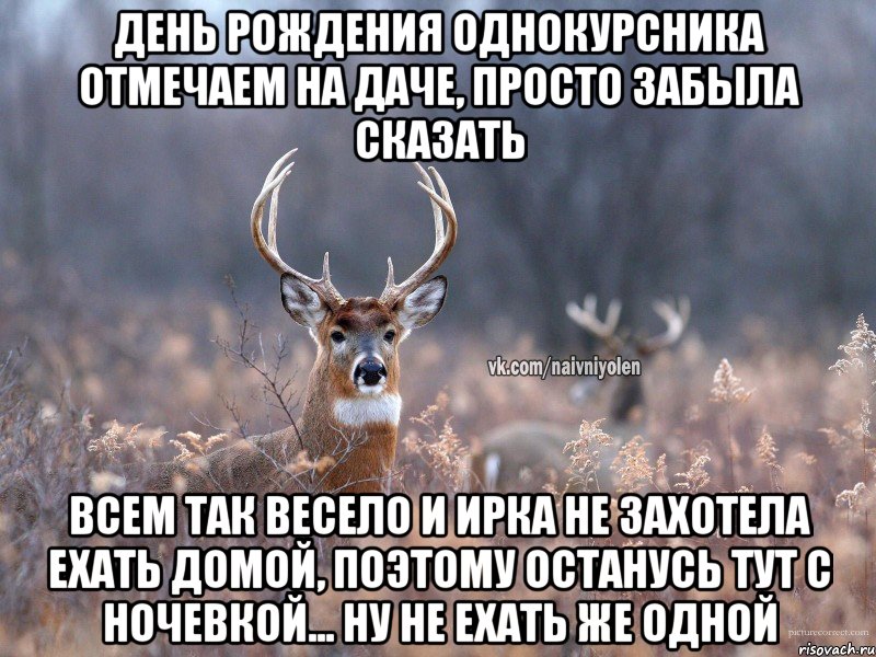 День рождения однокурсника отмечаем на даче, просто забыла сказать Всем так весело и ирка не захотела ехать домой, поэтому останусь тут с ночевкой... ну не ехать же одной, Мем   Наивный олень