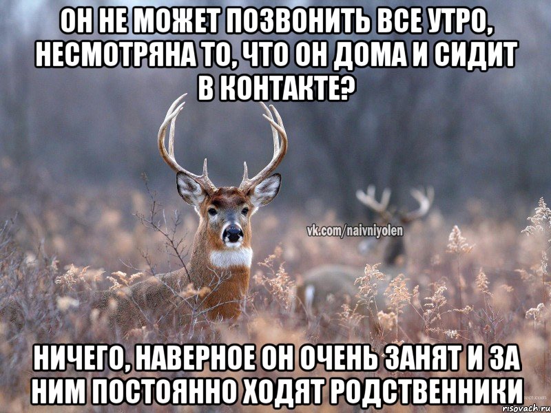 Он не может позвонить все утро, несмотряна то, что он дома и сидит в контакте? Ничего, наверное он очень занят и за ним постоянно ходят родственники, Мем   Наивный олень