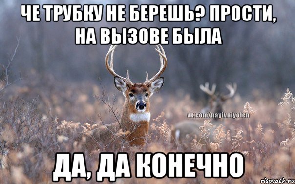 Че трубку не берешь? Прости, на вызове была Да, да конечно, Мем   Наивный олень