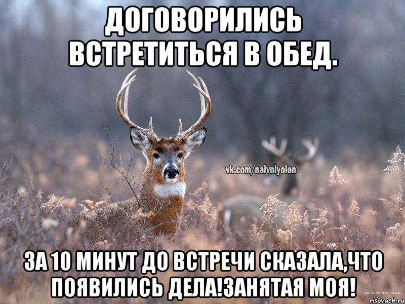 договорились встретиться в обед. за 10 минут до встречи сказала,что появились дела!занятая моя!, Мем   Наивный олень