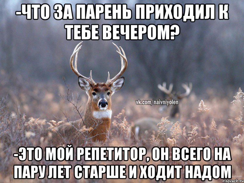 -Что за парень приходил к тебе вечером? -Это мой репетитор, Он всего на пару лет старше и ходит надом, Мем   Наивный олень