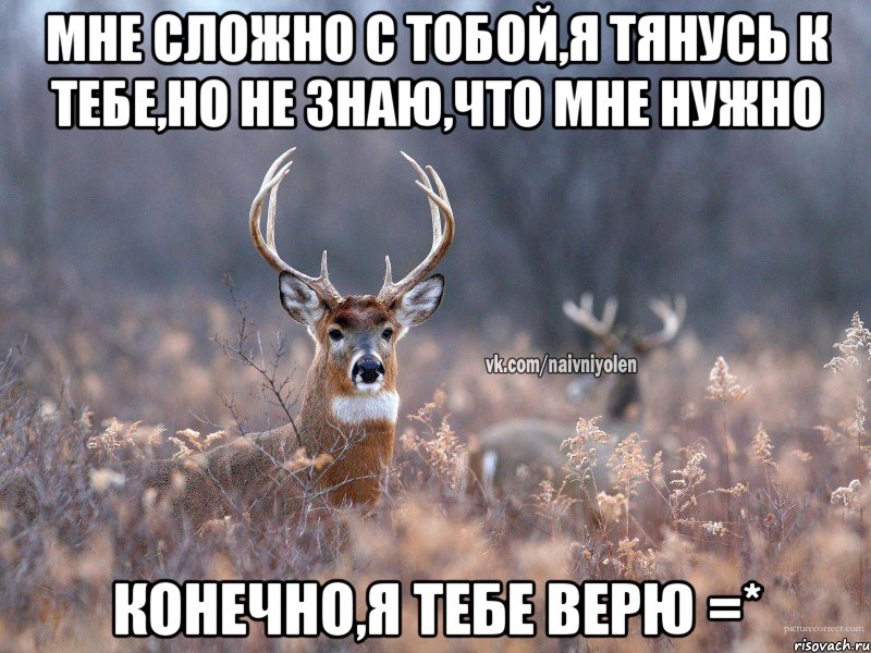 Мне сложно с тобой,я тянусь к тебе,но не знаю,что мне нужно Конечно,я тебе верю =*, Мем   Наивный олень