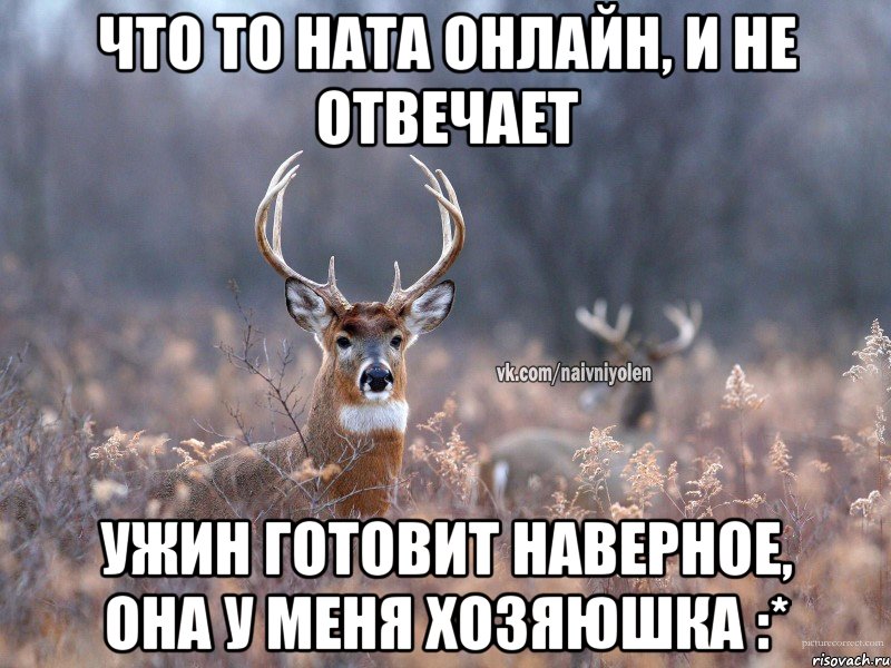 что то Ната онлайн, и не отвечает ужин готовит наверное, она у меня хозяюшка :*, Мем   Наивный олень