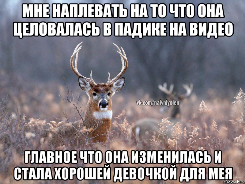 МНЕ НАПЛЕВАТЬ НА ТО ЧТО ОНА ЦЕЛОВАЛАСЬ В ПАДИКЕ НА ВИДЕО ГЛАВНОЕ ЧТО ОНА ИЗМЕНИЛАСЬ И СТАЛА ХОРОШЕЙ ДЕВОЧКОЙ ДЛЯ МЕЯ, Мем   Наивный олень