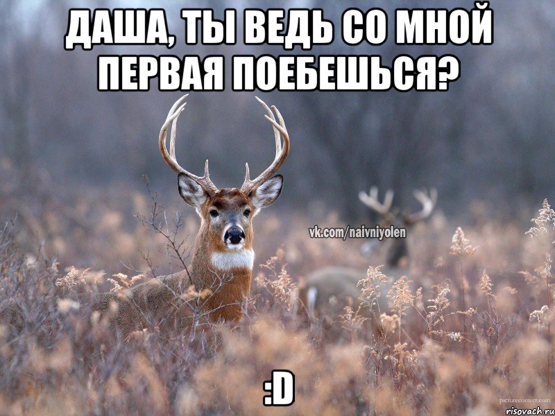 Даша, ты ведь со мной первая поебешься? :D, Мем   Наивный олень