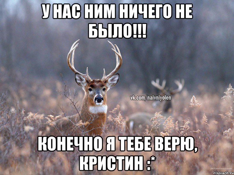 У нас ним ничего не было!!! Конечно я тебе верю, Кристин :*, Мем   Наивный олень