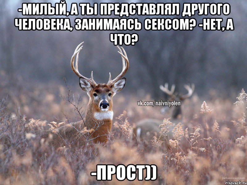 -Милый, а ты представлял другого человека, занимаясь сексом? -Нет, а что? -Прост)), Мем   Наивный олень