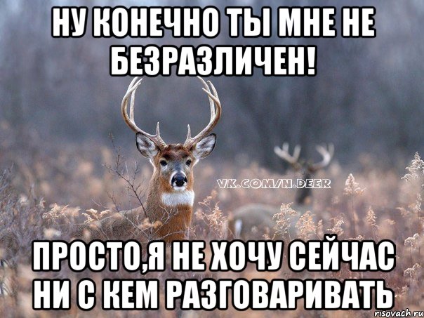 Ну конечно ты мне не безразличен! Просто,я не хочу сейчас ни с кем разговаривать, Мем   Наивный олень