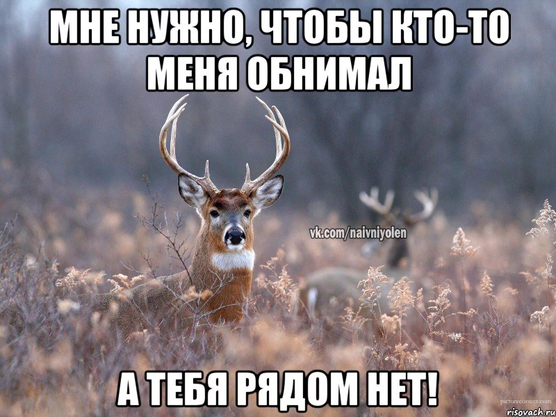 Мне нужно, чтобы кто-то меня обнимал А тебя рядом нет!, Мем   Наивный олень