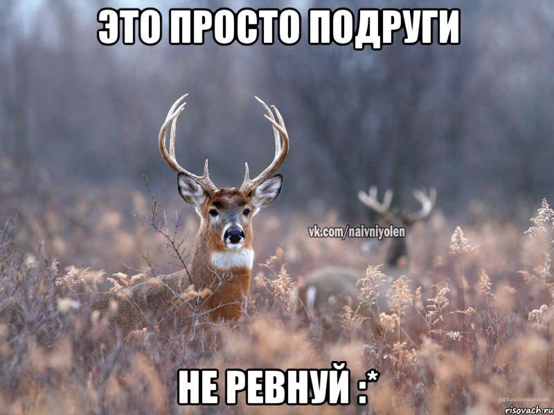 Это просто подруги Не ревнуй :*, Мем   Наивный олень