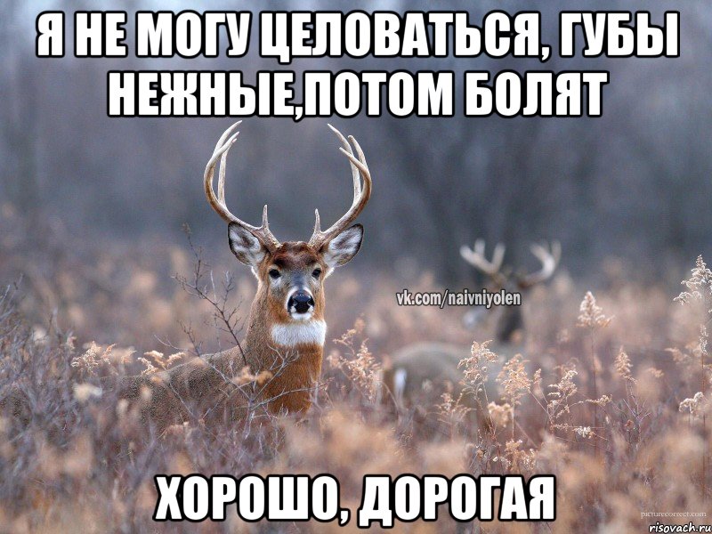 Я не могу целоваться, губы нежные,потом болят Хорошо, дорогая