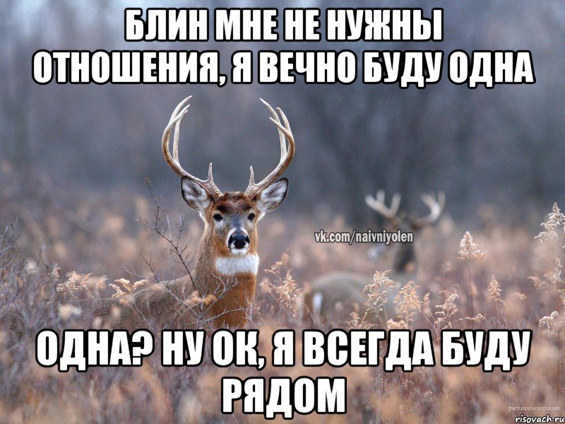 Блин мне не нужны отношения, я вечно буду одна Одна? Ну ок, я всегда буду рядом, Мем   Наивный олень