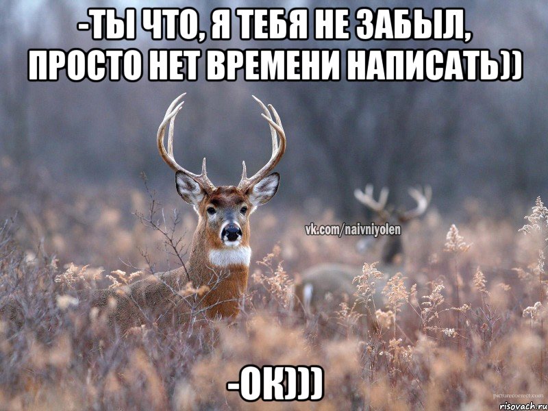 -Ты что, я тебя не забыл, просто нет времени написать)) -Ок))), Мем   Наивный олень