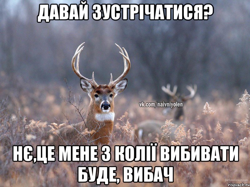 Давай зустрічатися? Нє,це мене з колії вибивати буде, вибач, Мем   Наивный олень