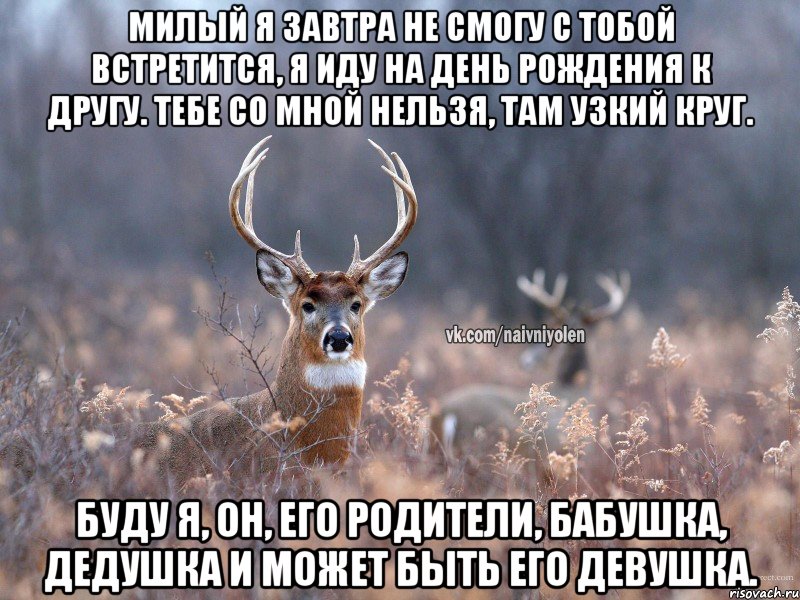 Милый я завтра не смогу с тобой встретится, я иду на день рождения к другу. Тебе со мной нельзя, там узкий круг. Буду Я, Он, его родители, бабушка, дедушка и может быть его девушка., Мем   Наивный олень