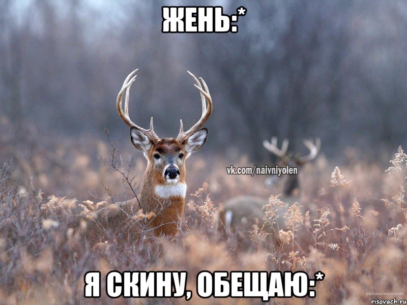 Жень:* я скину, обещаю:*, Мем   Наивный олень