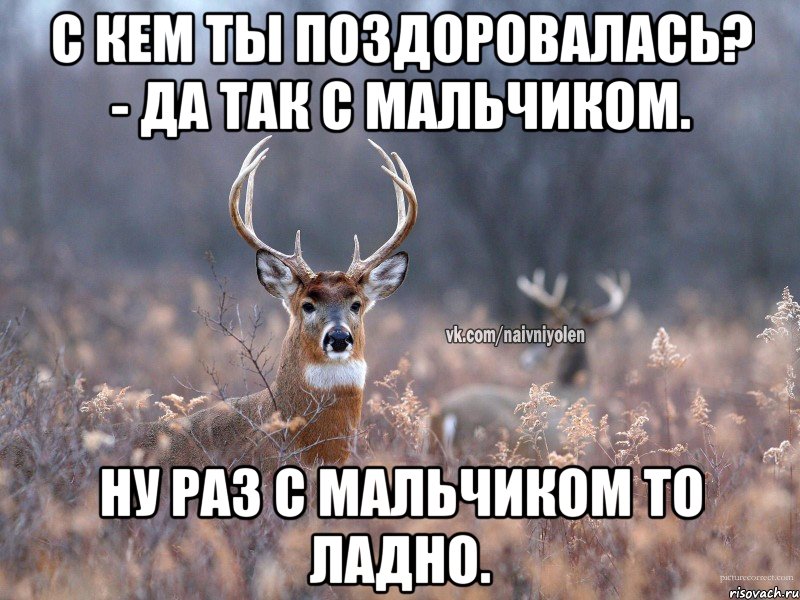 С кем ты поздоровалась? - да так с мальчиком. Ну раз с мальчиком то ладно., Мем   Наивный олень