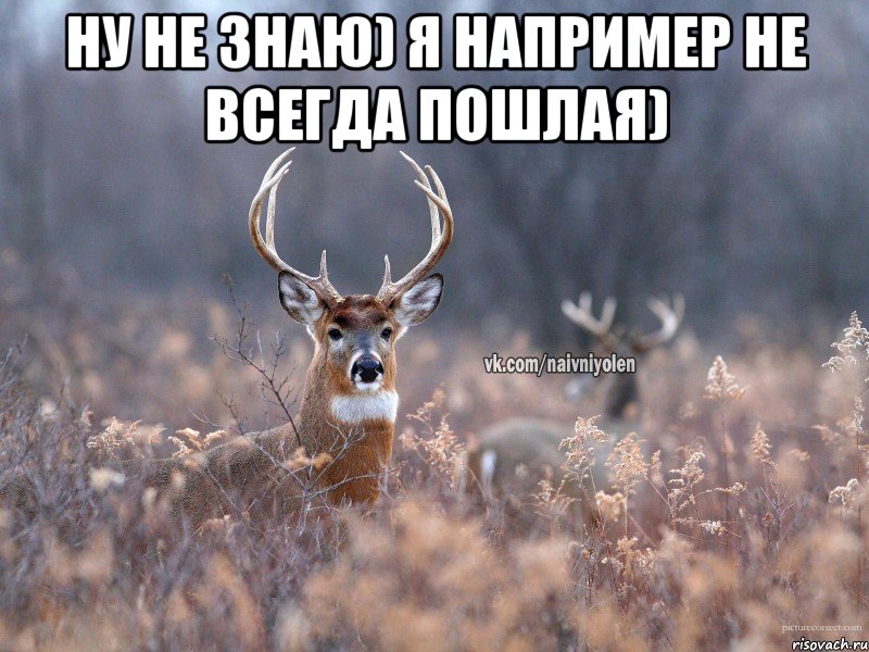 ну не знаю) я например не всегда пошлая) , Мем   Наивный олень