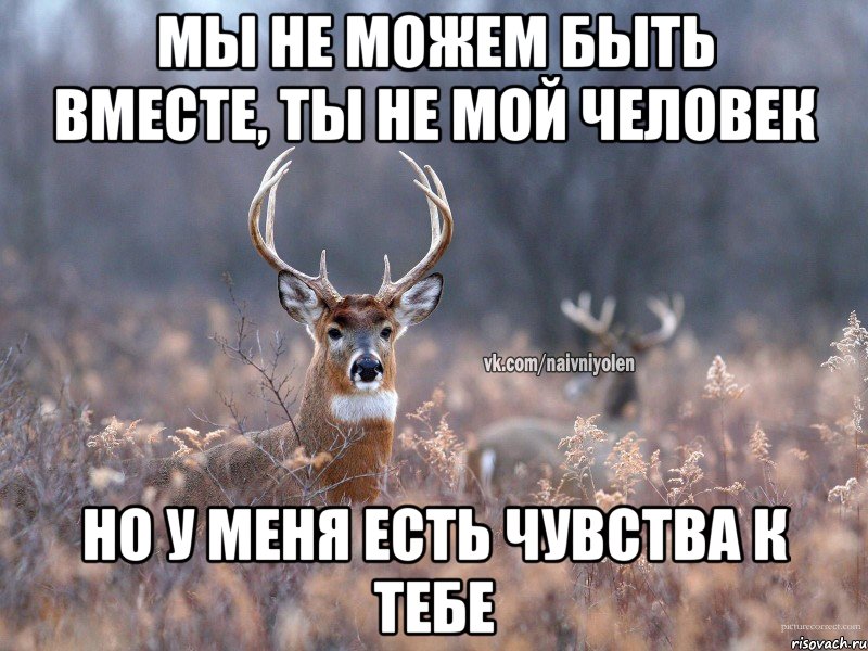 Мы не можем быть вместе, ты не мой человек Но у меня есть чувства к тебе