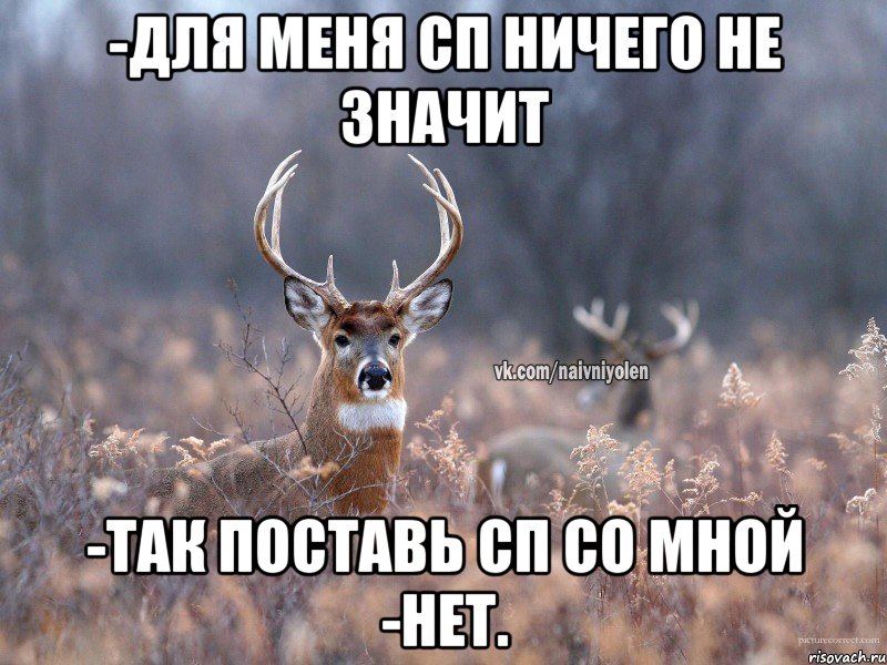 -Для меня СП ничего не значит -Так поставь СП со мной -Нет., Мем   Наивный олень