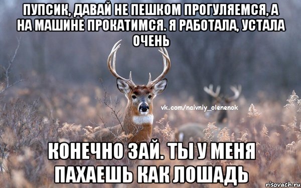 пупсик, давай не пешком прогуляемся, а на машине прокатимся. я работала, устала очень конечно зай. ты у меня пахаешь как лошадь