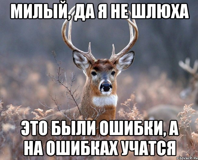 МИЛЫЙ, ДА Я НЕ ШЛЮХА ЭТО БЫЛИ ОШИБКИ, А НА ОШИБКАХ УЧАТСЯ, Мем   Наивный олень