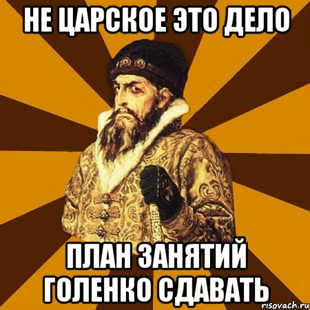 НЕ ЦАРСКОЕ ЭТО ДЕЛО ПЛАН ЗАНЯТИЙ ГОЛЕНКО СДАВАТЬ, Мем Не царское это дело