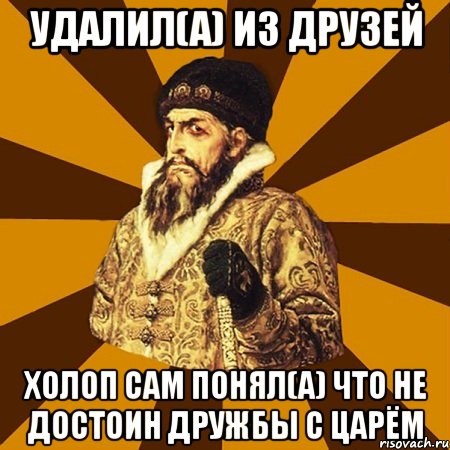 Удалил(а) из друзей Холоп сам понял(а) что не достоин дружбы с царём, Мем Не царское это дело