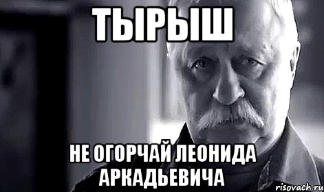 ТЫРЫШ НЕ ОГОРЧАЙ ЛЕОНИДА АРКАДЬЕВИЧА, Мем Не огорчай Леонида Аркадьевича