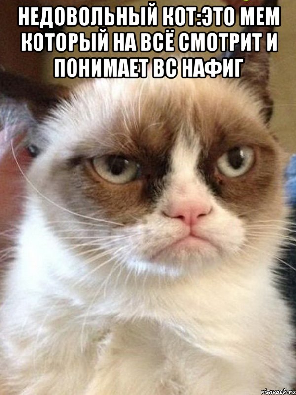недовольный кот:это мем который на всё смотрит и понимает вс нафиг , Мем Грустный (сварливый) кот