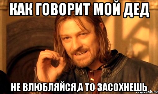 как говорит мой дед не влюбляйся,а то засохнешь, Мем Нельзя просто так взять и (Боромир мем)