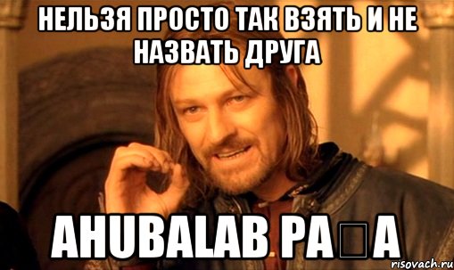 Нельзя просто так взять и не назвать друга Ahubalab Pașa, Мем Нельзя просто так взять и (Боромир мем)