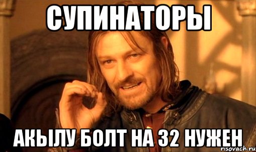 Супинаторы Акылу болт на 32 нужен, Мем Нельзя просто так взять и (Боромир мем)