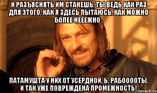 И разъяснять им станешь, ты ведь как раз для этого, как я здесь пытаюсь, как можно более нееежно , патамушта у них от усердной, Ь, рабооооты, и так уже повреждена промежность!, Мем Нельзя просто так взять и (Боромир мем)