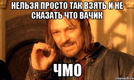 нельзя просто так взять и не сказать что вачик чмо, Мем Нельзя просто так взять и (Боромир мем)