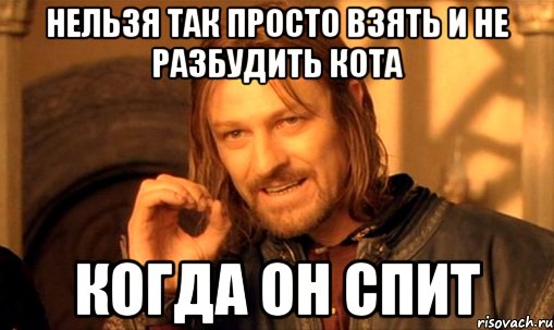 нельзя так просто взять и не разбудить кота КОГДА ОН СПИТ, Мем Нельзя просто так взять и (Боромир мем)