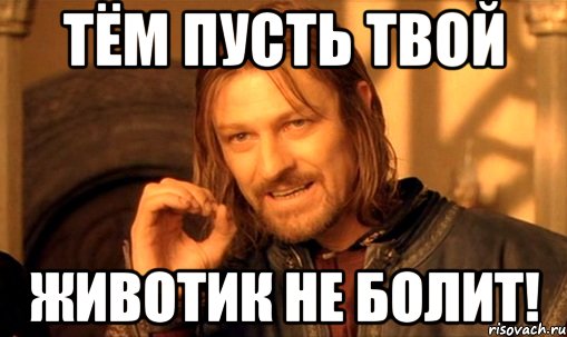 Тём пусть твой животик не болит!, Мем Нельзя просто так взять и (Боромир мем)